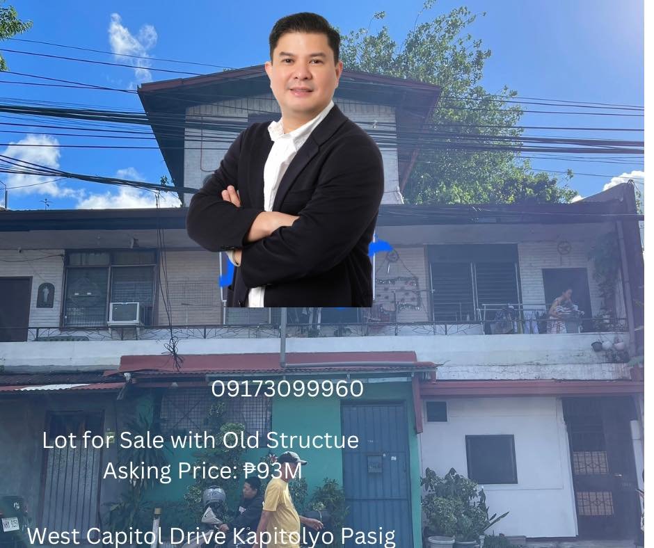 331 sqm Lot for Sale along West Capitol Drive, Kapitolyo, Pasig City